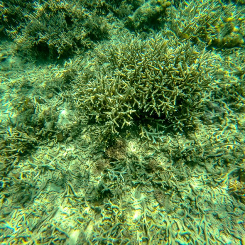 tawara-lagoon-may-25-GoPro-00021.jpg