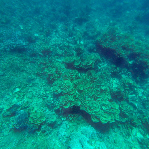 tawara-lagoon-may-25-GoPro-00038.jpg