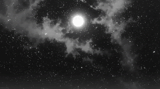 tumblr 8920d47bc0bcc7b61fdf8963e7ae373f ef6b3adc 540