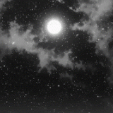 tumblr_8920d47bc0bcc7b61fdf8963e7ae373f_ef6b3adc_540