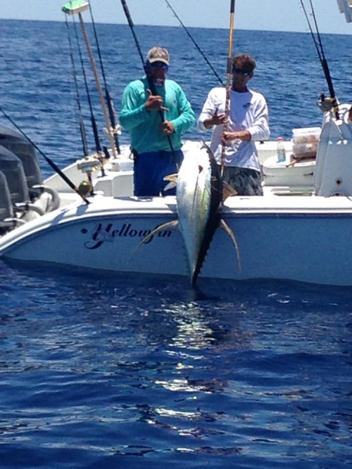 Champion Charters ,the best Venice Louisiana Fishing Charters Company, is  located in Venice Louisiana and specializes in deep sea Tuna fishing trips. We aim  to bring you the experience to the fish as well as to help you to catch them. Visit,https://bit.ly/2GKSoym