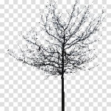 winter-tree3