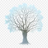 wintertree-7